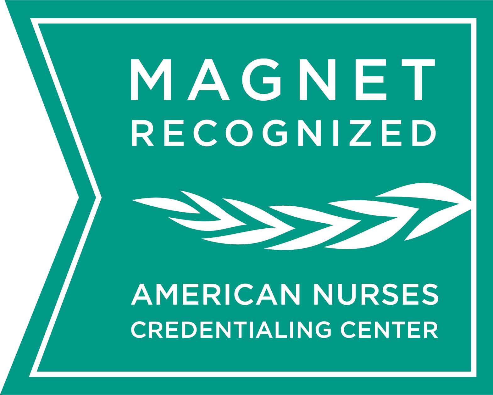 Magnet Award Logo